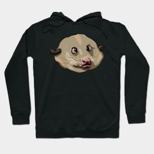 Baby Possum Hoodie